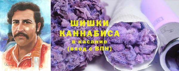 винт Осташков