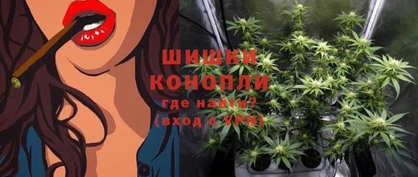 крисы Лагань