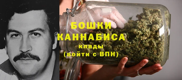 не бодяженный Ладушкин