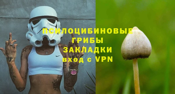 крисы Лагань