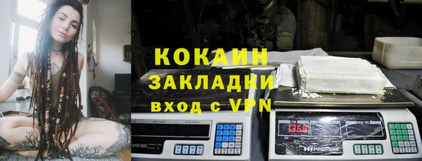 не бодяженный Ладушкин