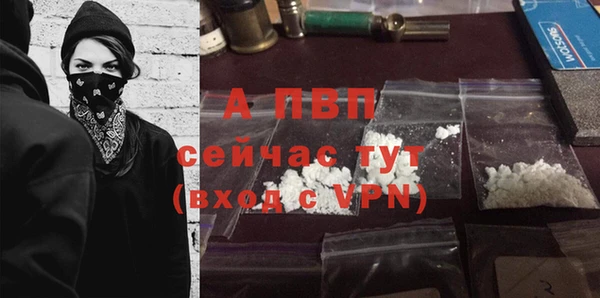 не бодяженный Ладушкин