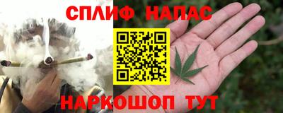a pvp Гусь-Хрустальный