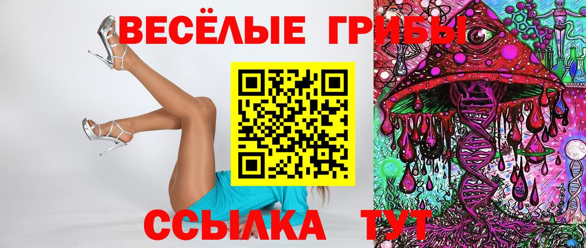 Псилоцибиновые грибы прущие грибы Псков